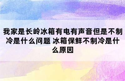 我家是长岭冰箱有电有声音但是不制冷是什么问题 冰箱保鲜不制冷是什么原因